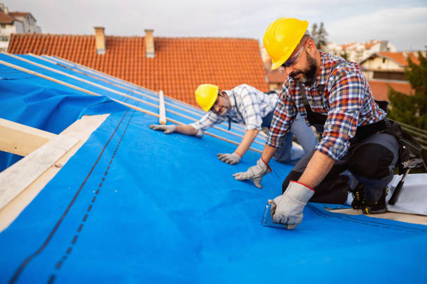 Best Roof Gutter Cleaning  in Ho Ho Kus, NJ